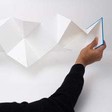 Load image into Gallery viewer, Acordeón X